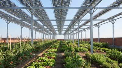 Dachlandschaft im Gewerbehöfequartier GoWest für den Immobilienmanager Award 2026 nominiert